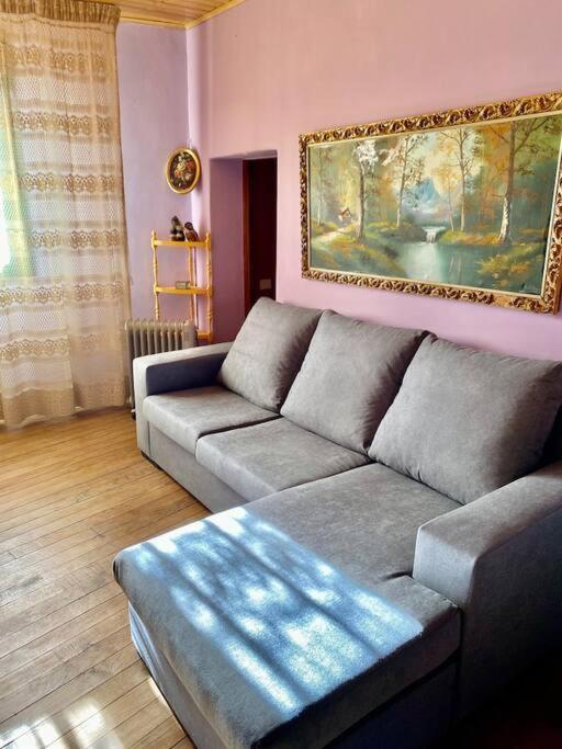 Alojamiento Entero Con Piscina Y Jardin. Ourense Zewnętrze zdjęcie